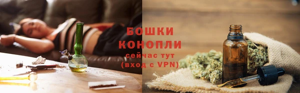 стафф Мегион