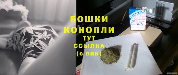 PSILOCYBIN Медногорск
