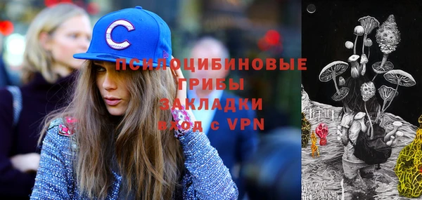 ПСИЛОЦИБИНОВЫЕ ГРИБЫ Майский