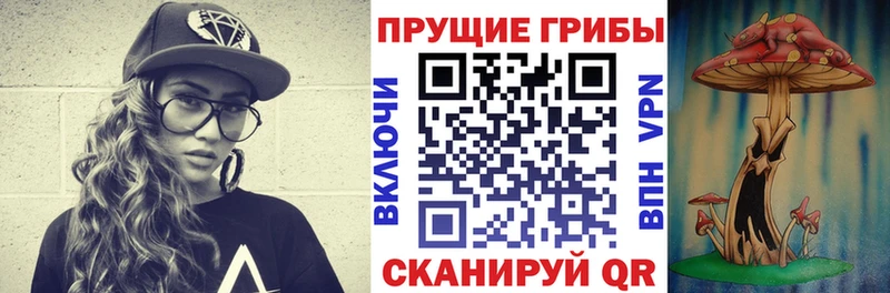 Псилоцибиновые грибы мухоморы наркотики Котово